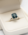 Anillos
