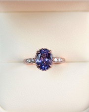 Anillo Opus