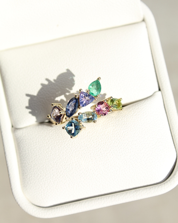 Anillo multigema
