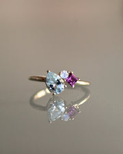Anillo trilogía