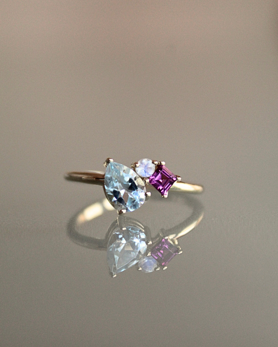 Anillo trilogía