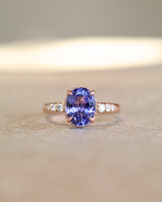 Anillo Opus
