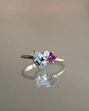 Anillo trilogía